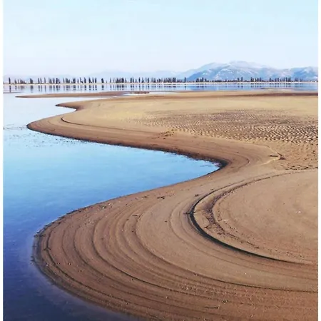 Ilijas With Gym Mihalj